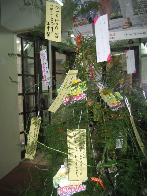 tanabata2008.JPG