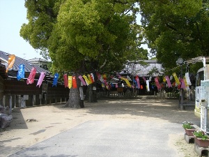 gokigen05092.JPG