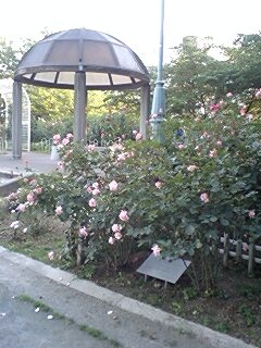 201005311.jpg