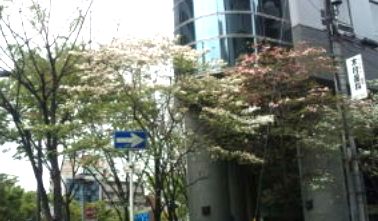 20110419144808.jpg