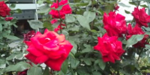 20110516163041.jpg