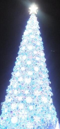 20111114.jpg