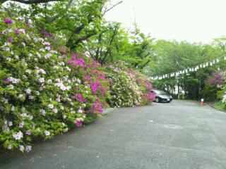 20120508_211751.jpg