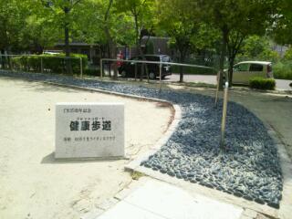 20120628_232208.jpg