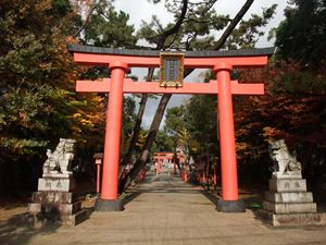 torii.JPG