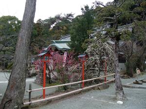 kasuga-jinjya-1.JPG