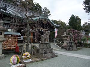 kasuga-jinjya-4.JPG