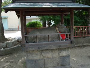 takahama-jinjya-8.JPG