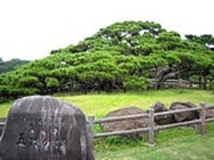 okinawa02068.jpg