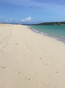 okinawa07175.jpg