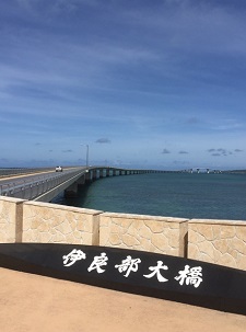 okinawa07176.jpg