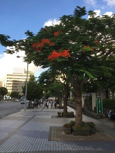 okinawa073120.jpg