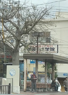 okinawa031211.jpg