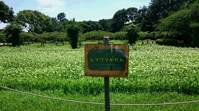 kitasenri07117.JPG