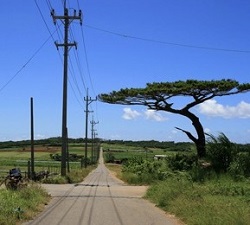 okinawa09237.jpg