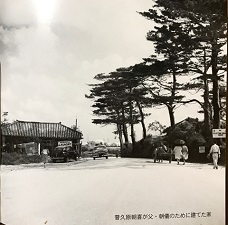 okinawa111110.jpg