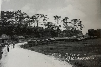 okinawa111111.jpg