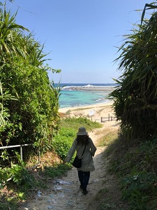 okinawa03316.jpg