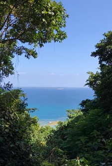 okinawa08036.jpg