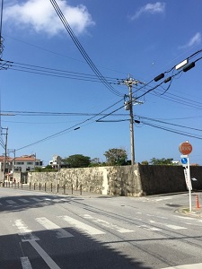 okinawa01165.jpg