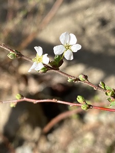 okinawa201317.jpg