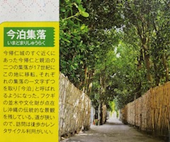 okinawa06057.jpg