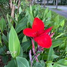 okinawa080712.jpg