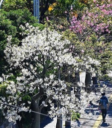 okinawa121821.jpg