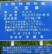 okinawa04027.jpg
