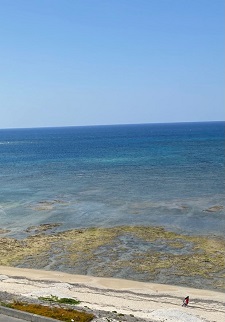 okinawa04094.jpg