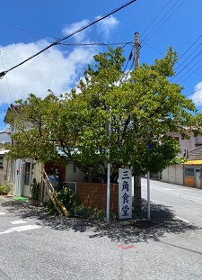 okinawa11287.jpg