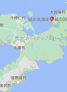 okinawa08267.jpg