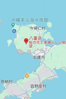 okinawa01068.jpg