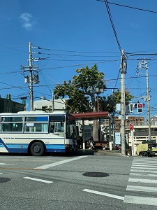 okinawa021021.jpg